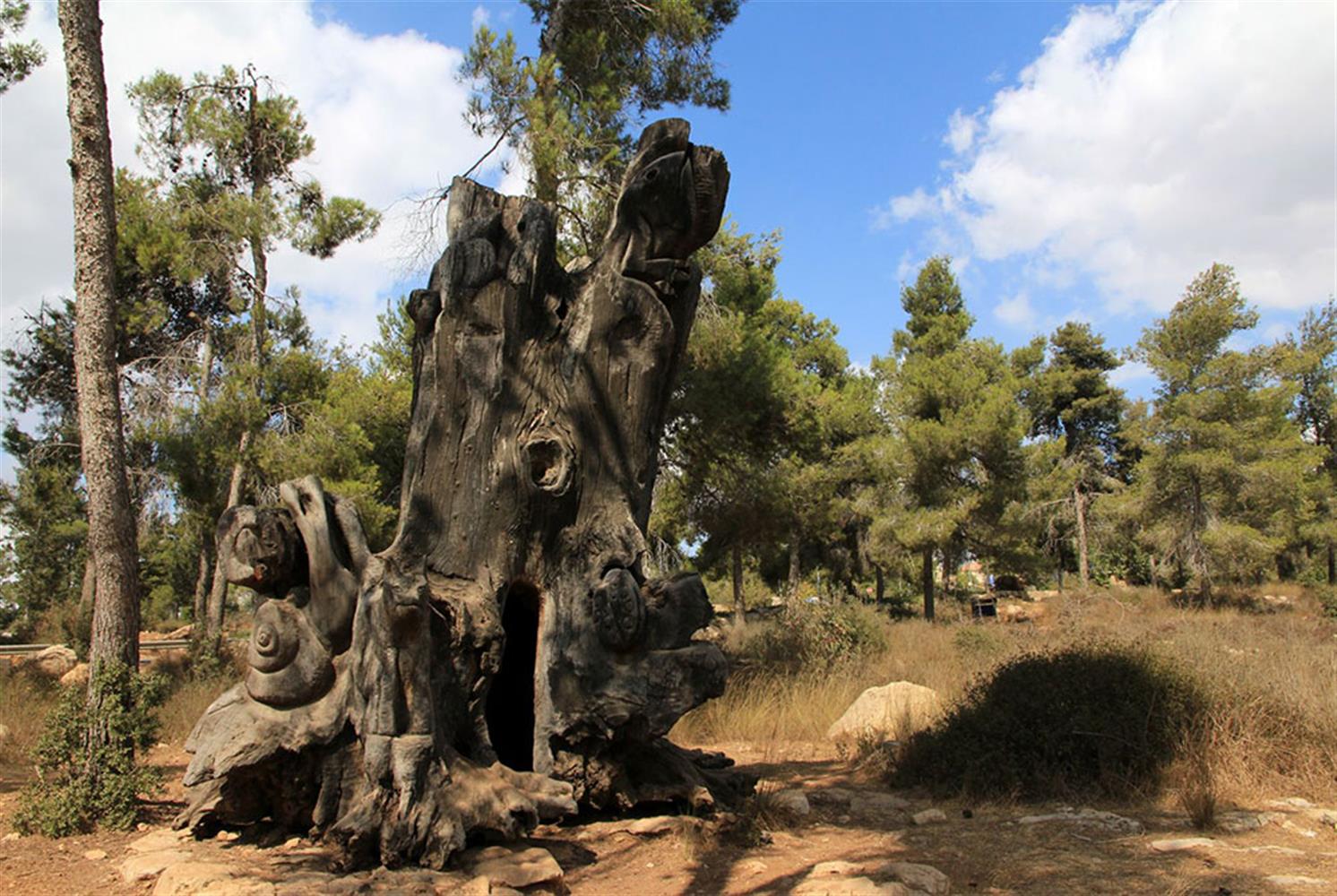 גזע עץ מפוסל שיצרו תושבי הר אדר ביער